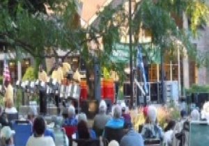 Zydeco-a-go-go