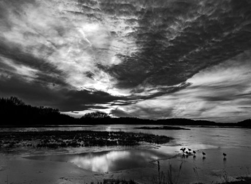 The Power of Black and White