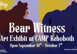 Bear Witness Exhibit