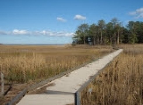Hike Burton Island