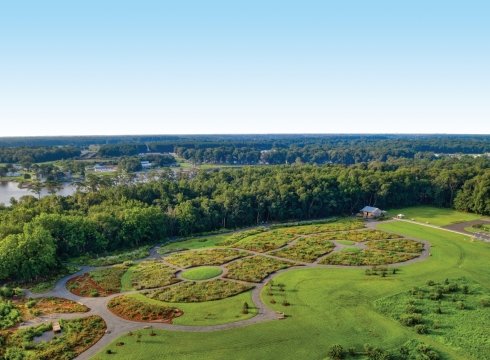 Mother's Day at the Botanic Gardens