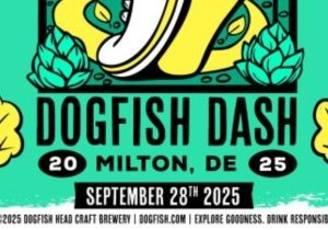 Dogfish Dash