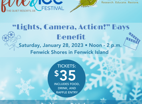 Fire & Ice “Lights, Camera, Action!” – Bays Benefit