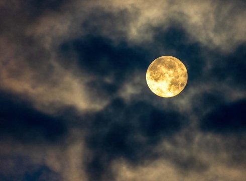 Harvest Moon: Juried Members' Showcase Exhibition