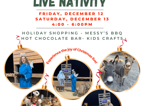 Sonshine Equine Live Nativity
