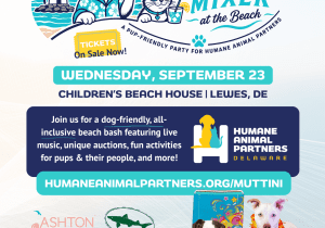 Muttini Mixer at the Beach