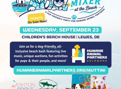 Muttini Mixer at the Beach