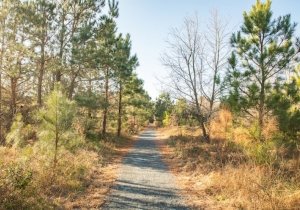 Hike the Sea Hawk Trail
