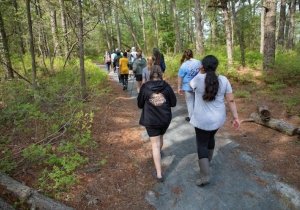 Cape Nature 250 to Today Hike