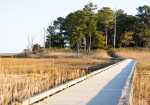 Hike Burton Island Nature Preserve