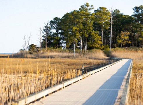 Hike Burton Island Nature Preserve