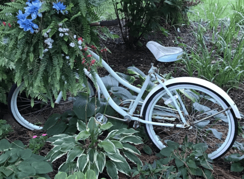 Milton Garden Club Tour