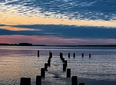 Sunset Stroll Through the Preserve