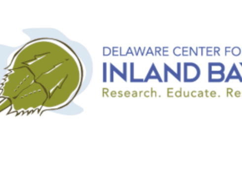 Winter Lecture Series – Rooting in Nature: Supporting Healthy Soils & Habitats in the Inland Bays