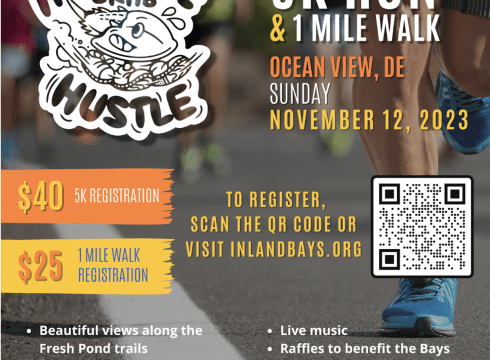 Horseshoe Crab Hustle 5K and 1 Mile Fun Walk to Benefit Delaware Center for the Inland Bays