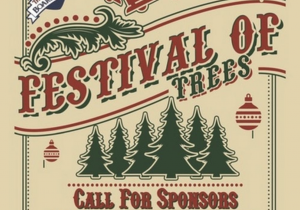 Millville Boardwalk Festival of Trees