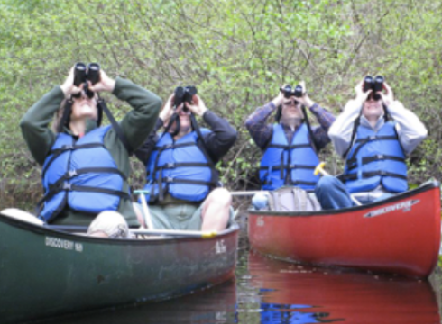 Spring Delmarva Birding Weekend