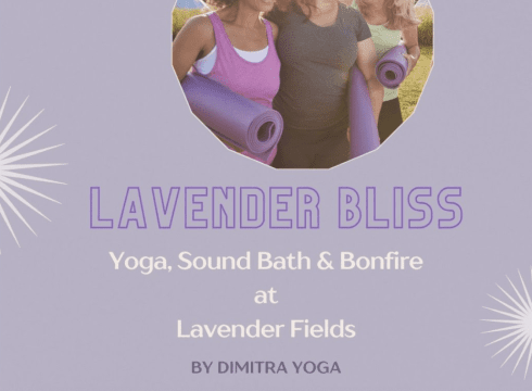 Lavender Bliss