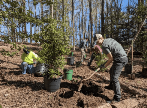 DBG Tree Giveaway: Join the Tree for Every Delawarean Initiative (TEDI)