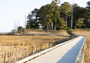 Hike Burton Island Nature Preserve