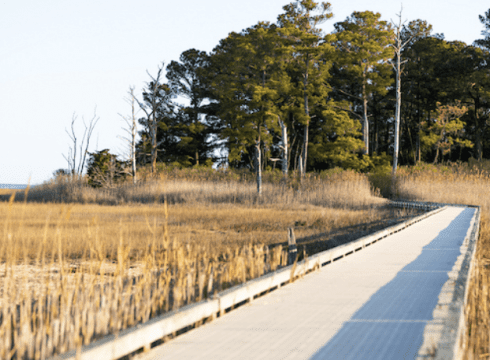 Hike Burton Island Nature Preserve