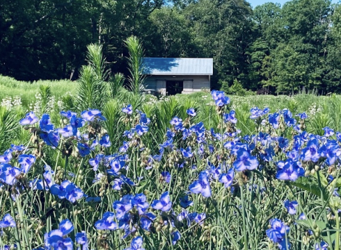 DBG OPENS 2025 SEASON MARCH 13th