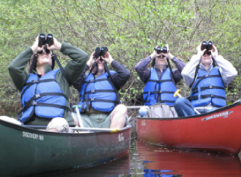 Spring Delmarva Birding Weekend