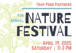 Nature Festival
