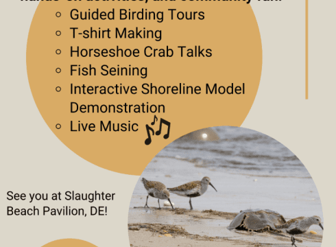 RED KNOT FEST
