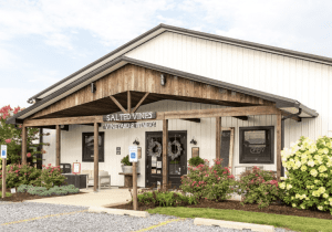 Salted Vines 5th Annual Holiday Boutique Extravaganza