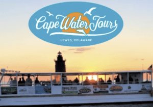 Seal Watching • Lewes Ferry