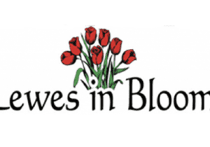 History in Bloom Walking Tours: