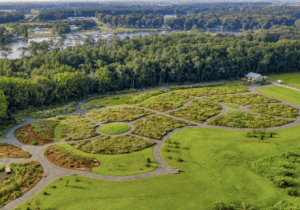 DBG Celebrates Earth Day (Free Admission)