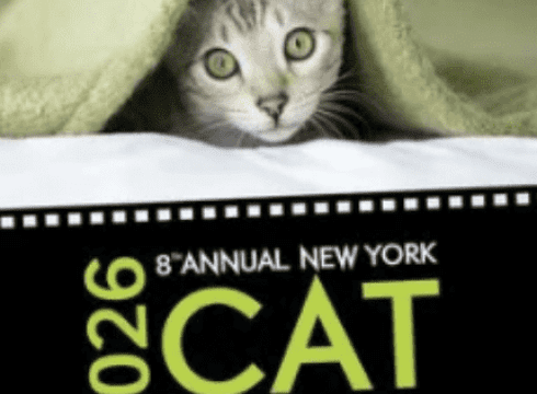 The NY Cat Film Festival