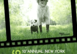 The NY Dog Film Festival