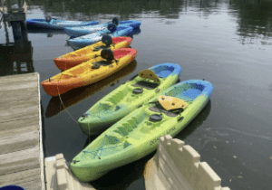 Broad Creek Kayak Excursions