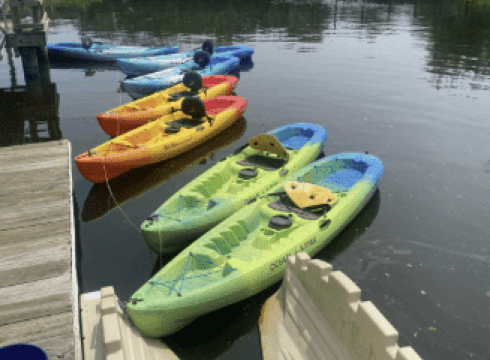 Broad Creek Kayak Excursions