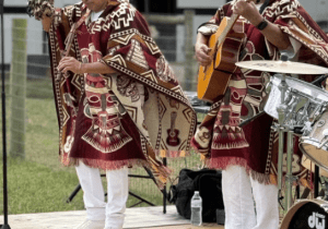 6th Annual Alpaca Festival