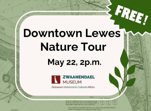 Downtown Lewes Nature Tour