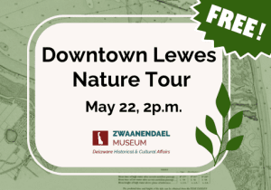 Downtown Lewes Nature Tour