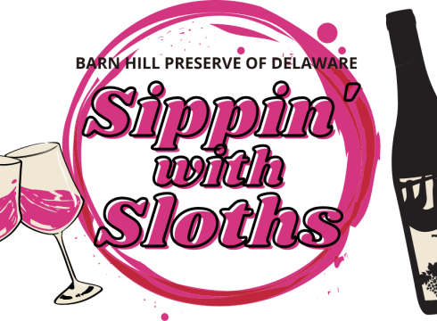 Sippin' With Sloths at Nassau Valley Vineyards