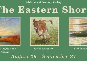 "The Eastern Shore" | Art Exhibition