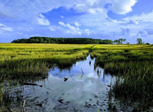 Thompson Island Hike and Brewery Tour