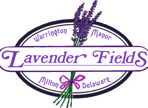 Spring Fling at Warrington Manor Lavender Fields