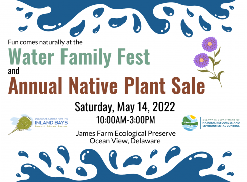 Water Family Fest and Native Plant Sale