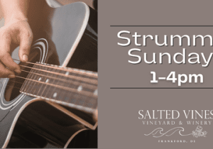 Strummin' Sundays at Salted Vines with Mike Munzer