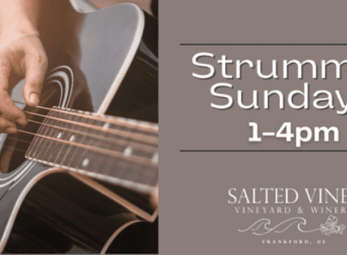 Strummin' Sundays at Salted Vines with Mike Munzer