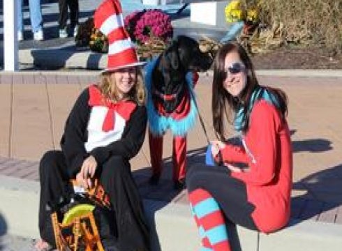 Wags, Witches, and Warlocks