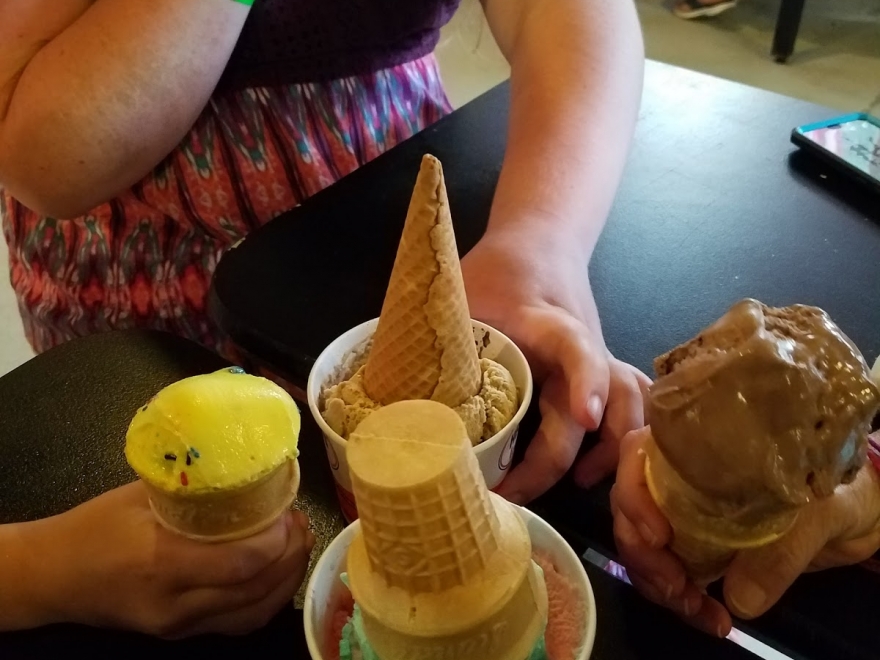 2 Dips Ice Cream