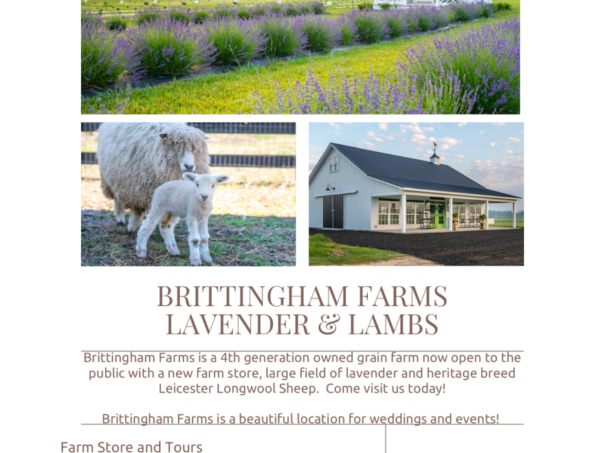 Brittingham Farms